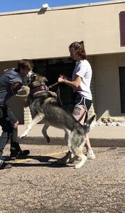 Kojack coming for the face